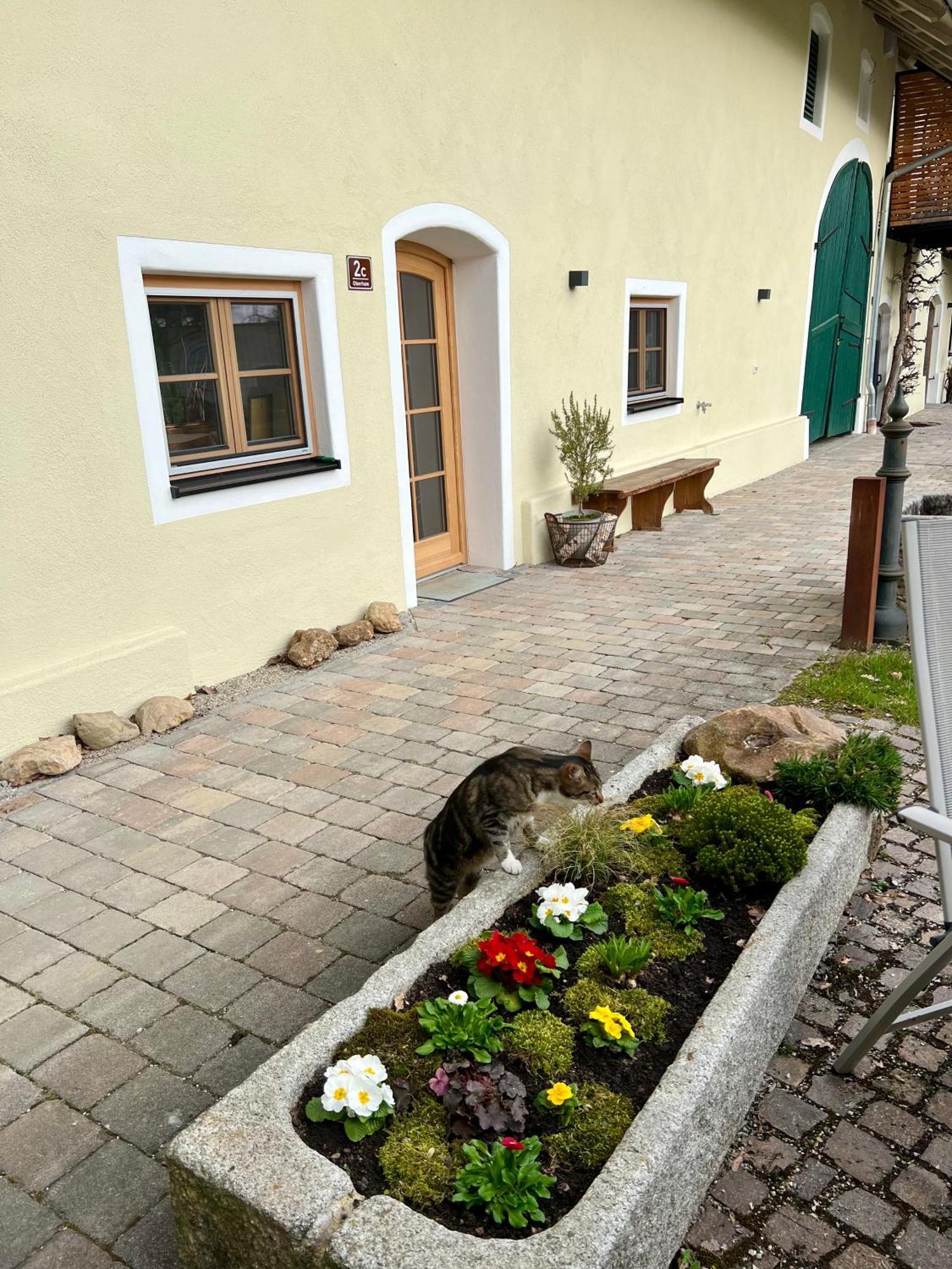 Gut Schwarz-N Hof Ferienwohnungen Bad Griesbach  Eksteriør billede